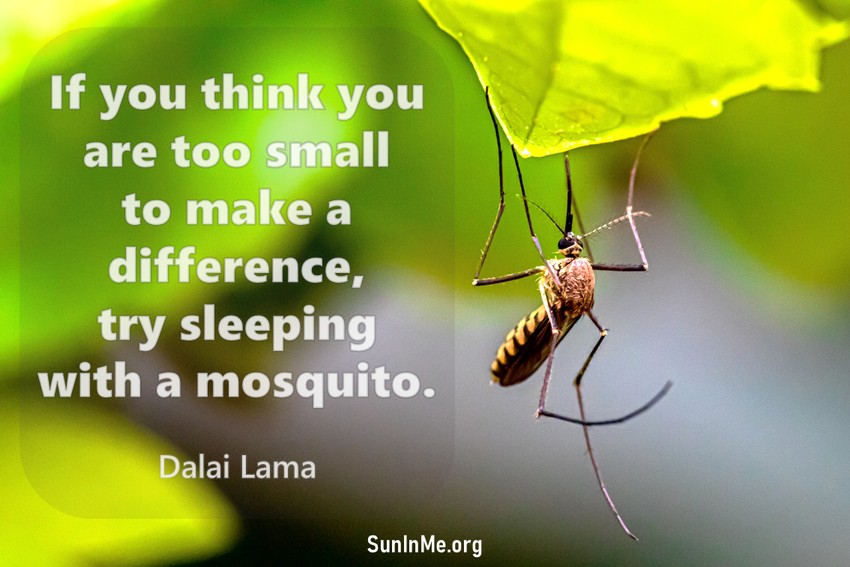 If you think you are too small to make a difference, try sleeping with a mosquito.