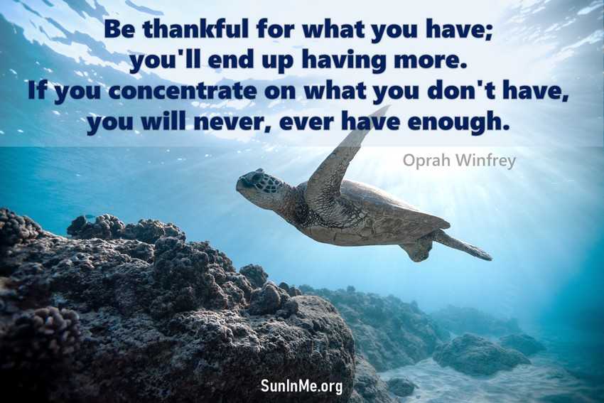 Be thankful for what you have; you'll end up having more. If you concentrate on what you don't have, you will never, ever have enough.