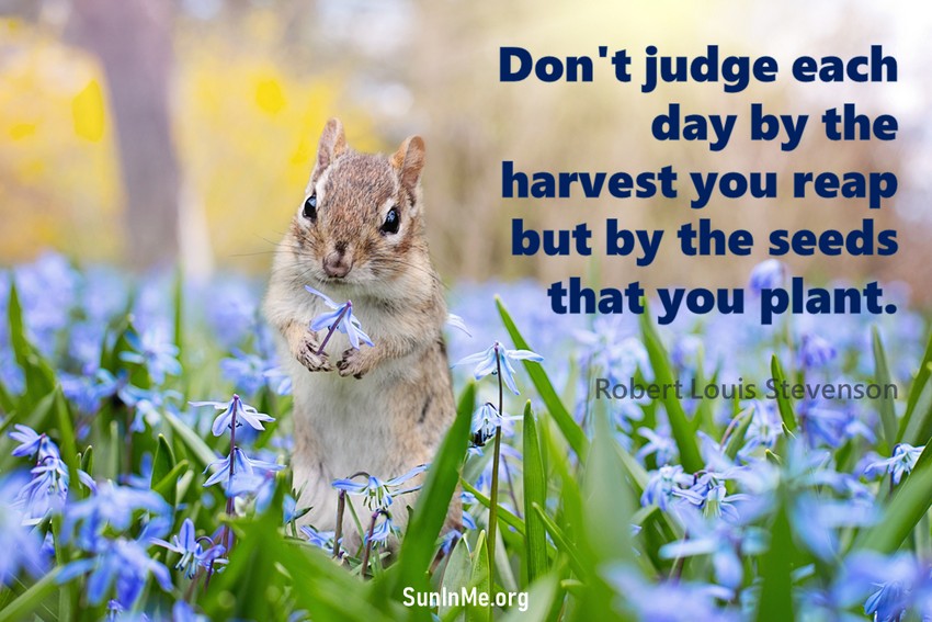 Don't judge each day by the harvest you reap but by the seeds that you plant.